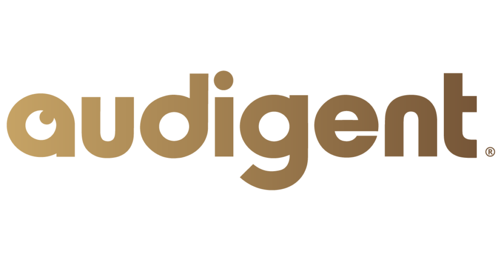 Audigent-Logo-1200x528-LinkedIn